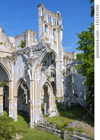ruin of the former Benedictine abbey Jumieges ruin of the former Benedictine abbey Jumieges 142195302