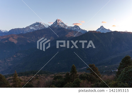 Sunrise over Annapurna South and Machhapuchhre, viewed from Poon Hill, Nepal: Himalayan mountain scenery. Sunrise over Annapurna South and Machhapuchhre, viewed from Poon Hill, Nepal: Himalayan mountain scenery. 142195315