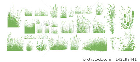 Grass Silhouette . Set Hand drawn. Not AI, vector illustration. Grass Silhouette . Set Hand drawn. Not AI, vector illustration. 142195441
