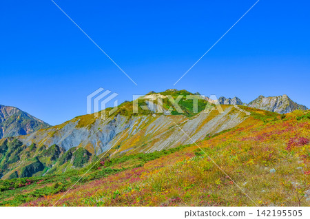On a clear autumn morning, colorful alpine plants lined the hiking trail to Mt. Karamatsu, and the mountain scenery of Mt. Karamatsu and the Fuki-ken ridge unfolded before me. On a clear autumn morning, colorful alpine plants lined the hiking trail to Mt. Karamatsu, and the mountain scenery of Mt. Karamatsu and the Fuki-ken ridge unfolded before me. 142195505