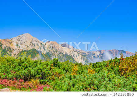 在一個晴朗的秋日早晨,從唐松山的登山道上可以看到白馬三峰山脈,天空湛藍如洗。 在一個晴朗的秋日早晨,從唐松山的登山道上可以看到白馬三峰山脈,天空湛藍如洗。 142195890