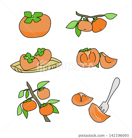Various types of persimmon Various types of persimmon 142196093
