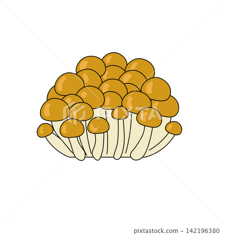 滑子菇食材和帶有輪廓的彩色蘑菇。 滑子菇食材和帶有輪廓的彩色蘑菇。 142196380