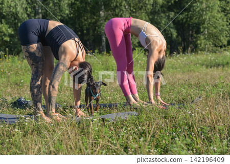 Two young women practicing yoga together outdoor Two young women practicing yoga together outdoor 142196409