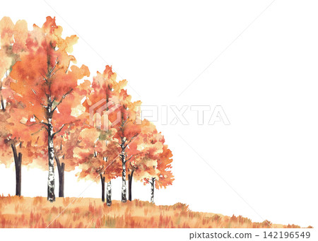 Watercolor golden Autumn landscape frame. Birch and deciduous trees forest with orange, red leaves, foliage and yellow fall grassy meadow. Hand painted October. Illustration isolated from background. Watercolor golden Autumn landscape frame. Birch and deciduous trees forest with orange, red leaves, foliage and yellow fall grassy meadow. Hand painted October. Illustration isolated from background. 142196549