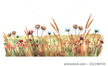 Autumn field with red, orange wildflowers, tall green yellow grasses and warm seasonal vegetation. Hand-painted watercolor nature meadow, fall landscape element. illustration isolated from background. Autumn field with red, orange wildflowers, tall green yellow grasses and warm seasonal vegetation. Hand-painted watercolor nature meadow, fall landscape element. illustration isolated from background. 142196550