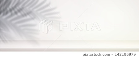 Soft palm foliage shadows on white wall bg Soft palm foliage shadows on white wall bg 142196979