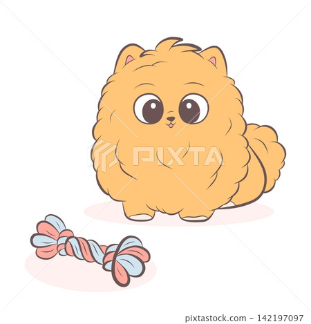 A vector illustration of a fluffy orange Spitz with rope toy A vector illustration of a fluffy orange Spitz with rope toy 142197097