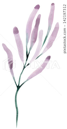 Watercolor light purple wildflowers, spring floral isolated illustration for wedding stationery Watercolor light purple wildflowers, spring floral isolated illustration for wedding stationery 142197312