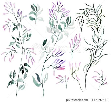 Watercolor light purple wildflowers clipart , floral isolated illustration for wedding stationery 142197319