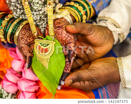 Indian Bride and Groom Hands Holding Betel Leaf During Wedding Ritual Indian Bride and Groom Hands Holding Betel Leaf During Wedding Ritual 142197373