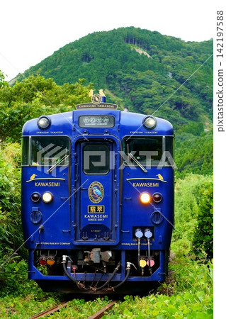 藍色的火車車廂映襯著翠綠的景色:特快列車「川瀨山瀨」。 藍色的火車車廂映襯著翠綠的景色:特快列車「川瀨山瀨」。 142197588