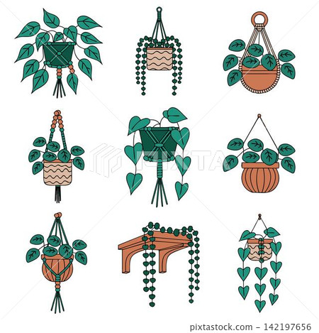 The image shows a collection of vector illustrations of various indoor climbing and trailing plants The image shows a collection of vector illustrations of various indoor climbing and trailing plants 142197656