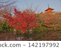 清水寺五重塔與秋葉 142197992