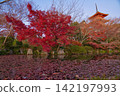 清水寺的秋景 142197993