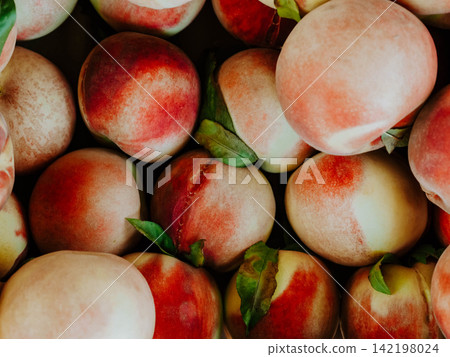 Fresh Ripe Peaches with Green Leaves Fresh Ripe Peaches with Green Leaves 142198024