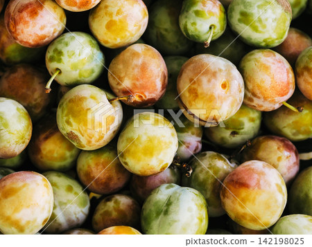 Fresh Yellow Ripe Plums Background Fresh Yellow Ripe Plums Background 142198025