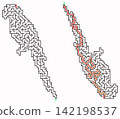 Parrot maze puzzle with solution, isolated on a white background. A fun puzzle for kids and adults, an educational activity, logic game, and worksheet. 142198537