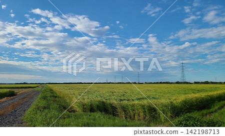 在新潟的鄉下風景 在新潟的鄉下風景 142198713