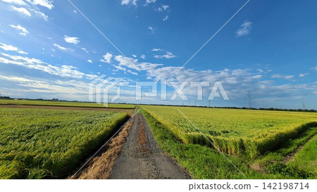 在新潟的鄉下風景 在新潟的鄉下風景 142198714