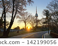 Namsan park by wall and cherry blossom to N Seoul tower at sunset 142199056