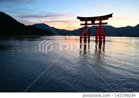 廣島嚴島神社黃昏時分的大鳥居 142199284