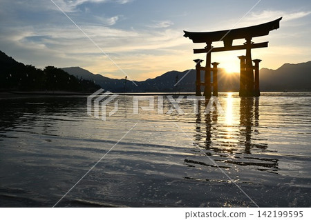 廣島嚴島神社黃昏時分的大鳥居 廣島嚴島神社黃昏時分的大鳥居 142199595