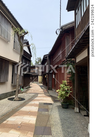 金澤東茶屋地區的迷人街景 142199614