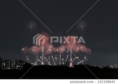 Fireworks lighting up the night sky; fireworks blooming in the summer night sky; fireworks blooming in the night sky; a fireworks display shining high in the sky; fireworks; night sky; fireworks image Fireworks lighting up the night sky; fireworks blooming in the summer night sky; fireworks blooming in the night sky; a fireworks display shining high in the sky; fireworks; night sky; fireworks image 142199645