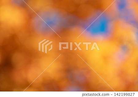 Orange autumn background with nobody. Defocused blur fall color. Autumnal season. Blurred autumn background. Defocused fall color. Blur backdrop Orange autumn background with nobody. Defocused blur fall color. Autumnal season. Blurred autumn background. Defocused fall color. Blur backdrop 142199827