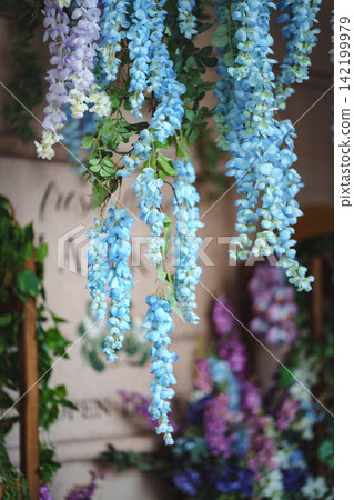 Hanging blue wisteria garland backdrop for spring wedding photo zone 142199979