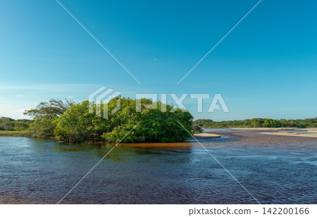 Lençóis Maranhenses：綠色的、長滿灌木的島嶼漂浮在淺水中，藍天白雲。 142200166