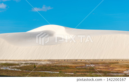 Under the blue sky, the white sand dunes of Lençóis Maranhenses rise above the wetland grasslands. Under the blue sky, the white sand dunes of Lençóis Maranhenses rise above the wetland grasslands. 142200167