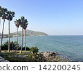 Resorts and beaches 142200245