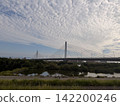 Cirrocumulus clouds and a cable-stayed bridge 142200246