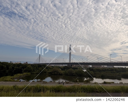卷積雲和一座斜張橋 142200246