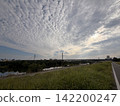 Cable-stayed bridge and cirrocumulus clouds ② 142200247