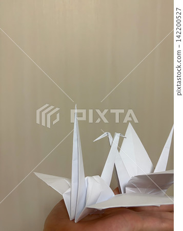 Two white origami cranes held in the palm of a hand Two white origami cranes held in the palm of a hand 142200527