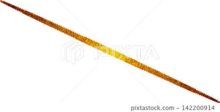 Celebratory golden line PNG image Celebratory golden line PNG image 142200914