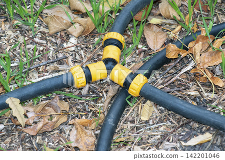 Garden Irrigation Hose Connectors on Autumn Ground Garden Irrigation Hose Connectors on Autumn Ground 142201046