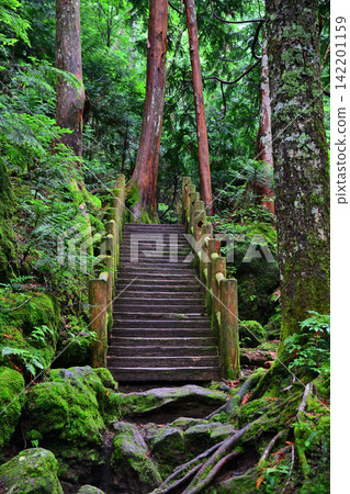 Karikomi Lake, Kirikomi Lake, wooden walkway and stairs on the mountain trail, deep mountain valley Karikomi Lake, Kirikomi Lake, wooden walkway and stairs on the mountain trail, deep mountain valley 142201159
