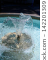 Midsummer Fountain_3265 142201309