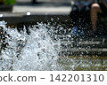 Midsummer Fountain_4401 142201310