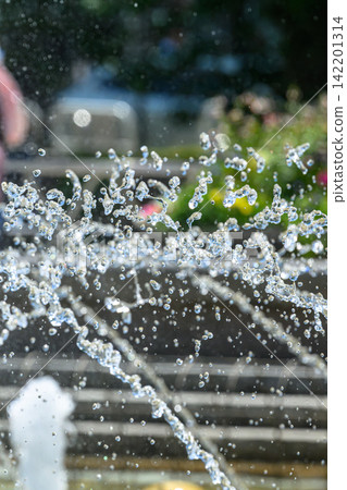Midsummer Fountain_5361 Midsummer Fountain_5361 142201314