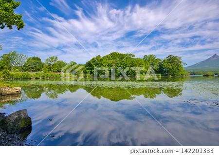 大沼公園的夏日天空 大沼公園的夏日天空 142201333