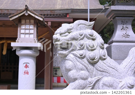 Komainu在神社 142201361