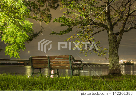 滋賀縣大津市的澤澤城遺址公園夜景 滋賀縣大津市的澤澤城遺址公園夜景 142201393