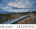 Mt. Fuji and Mishima Sky Walk 142201432
