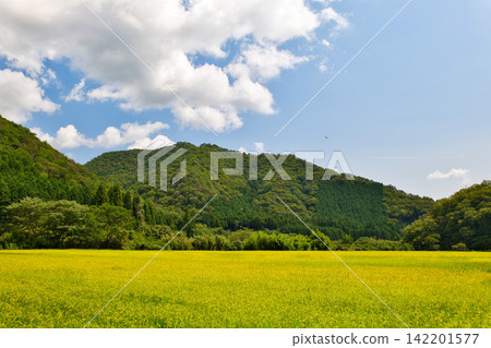 Autumn countryside Autumn countryside 142201577