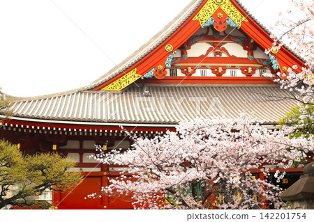 Senso-ji Temple in Taito Ward 142201754